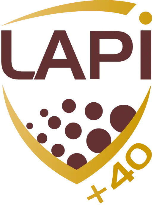 Competiciones 6 liga lapi